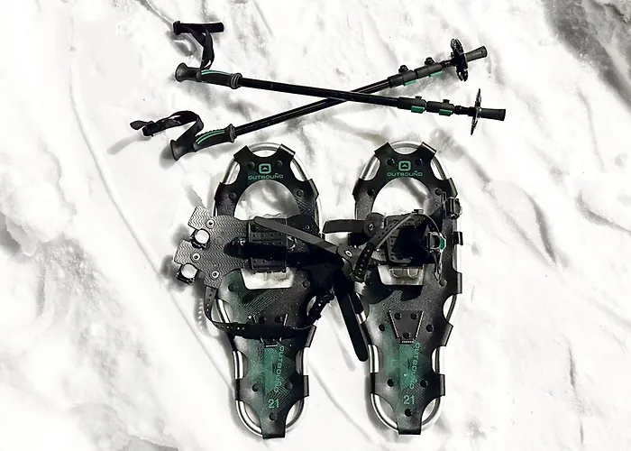 Unique Caravan With Private Sauna, Parking & Wifi 아파트